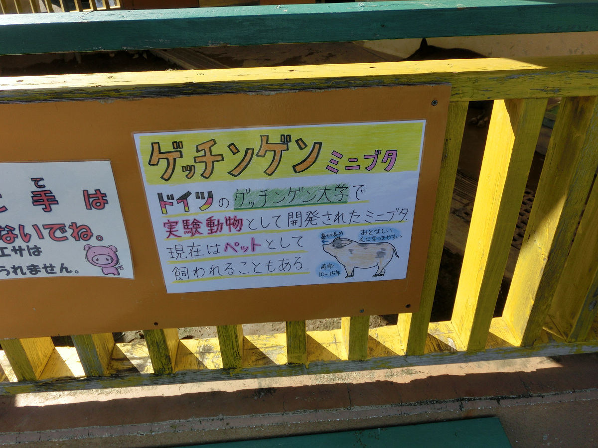 f:id:mishinon:20211001112248j:plain