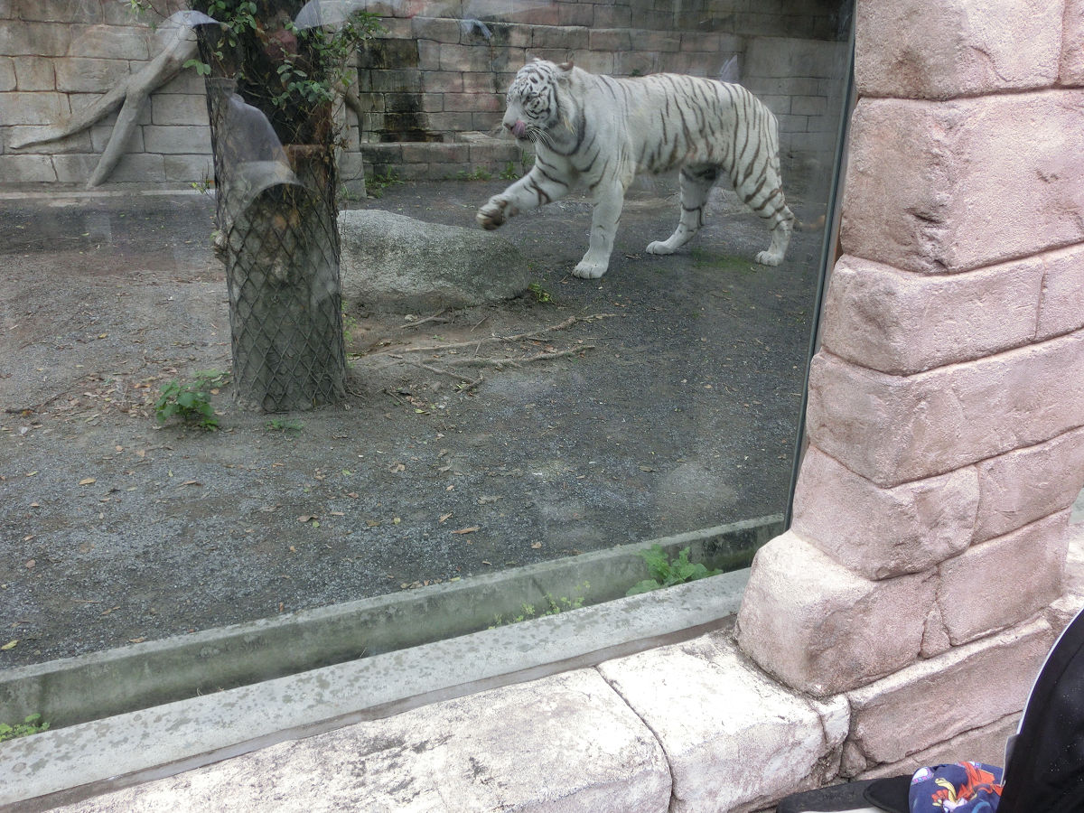 f:id:mishinon:20211113210327j:plain