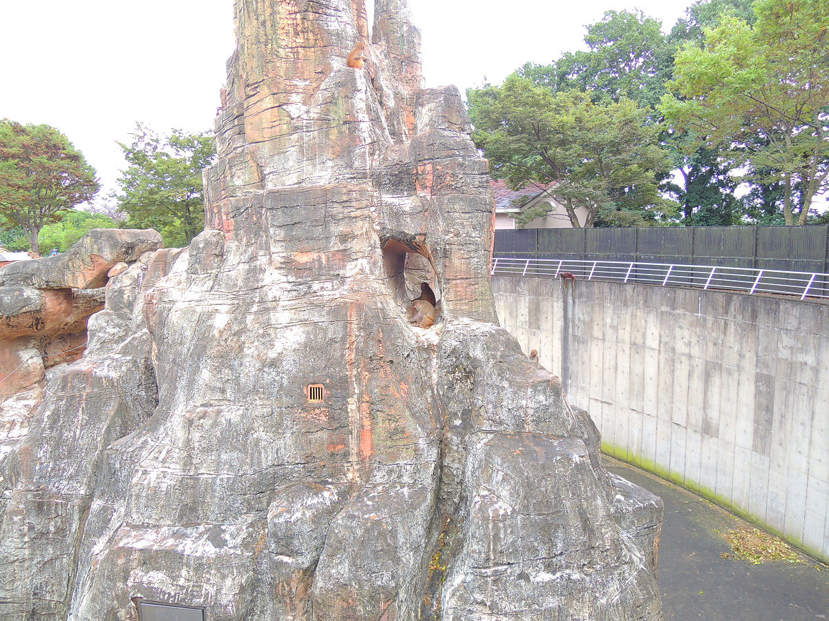 f:id:mishinon:20211129102742j:plain