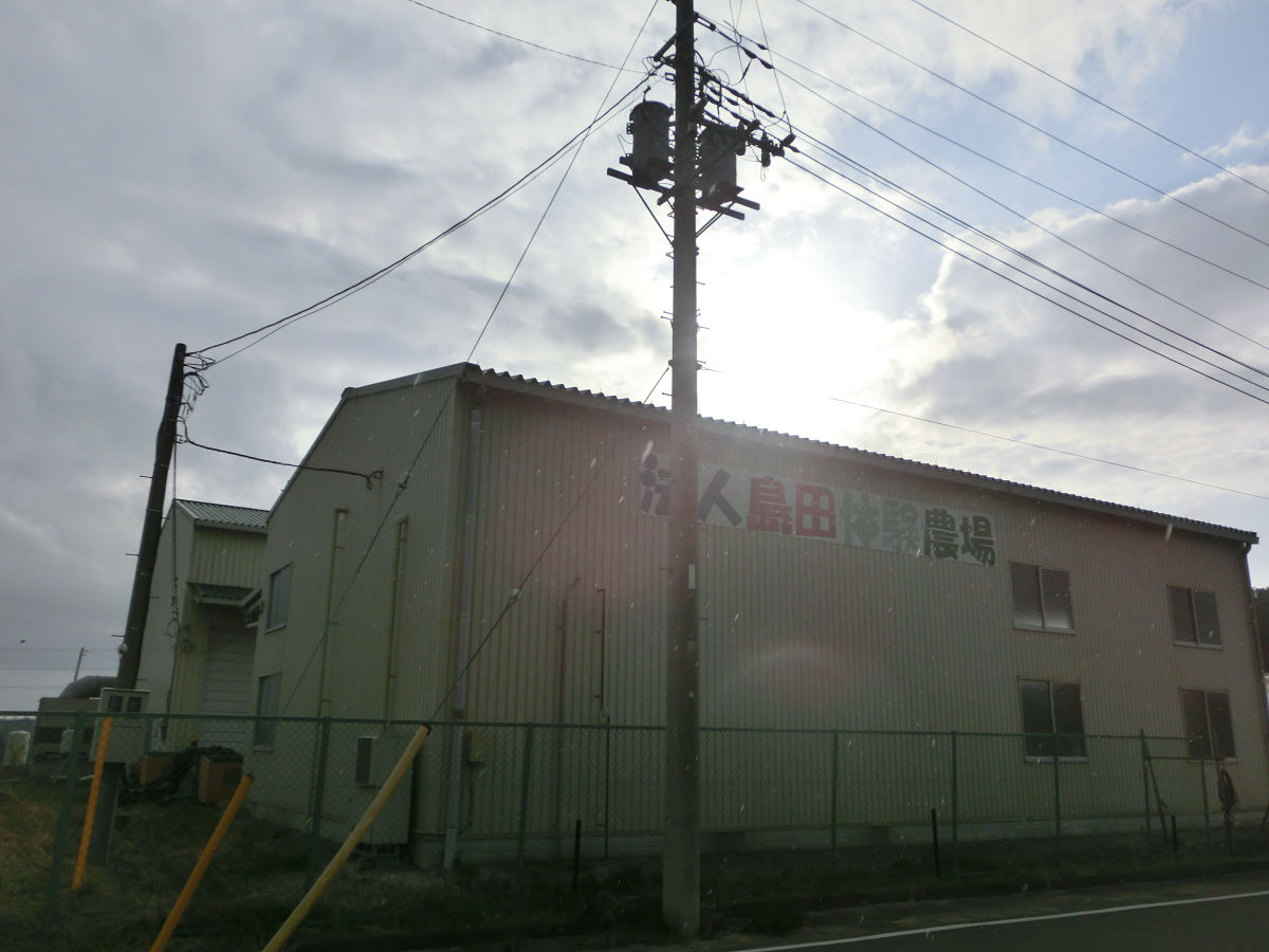 f:id:mishinon:20211211201817j:plain