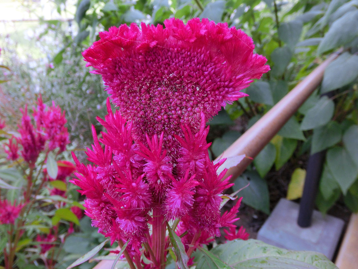 f:id:mishinon:20211211201932j:plain