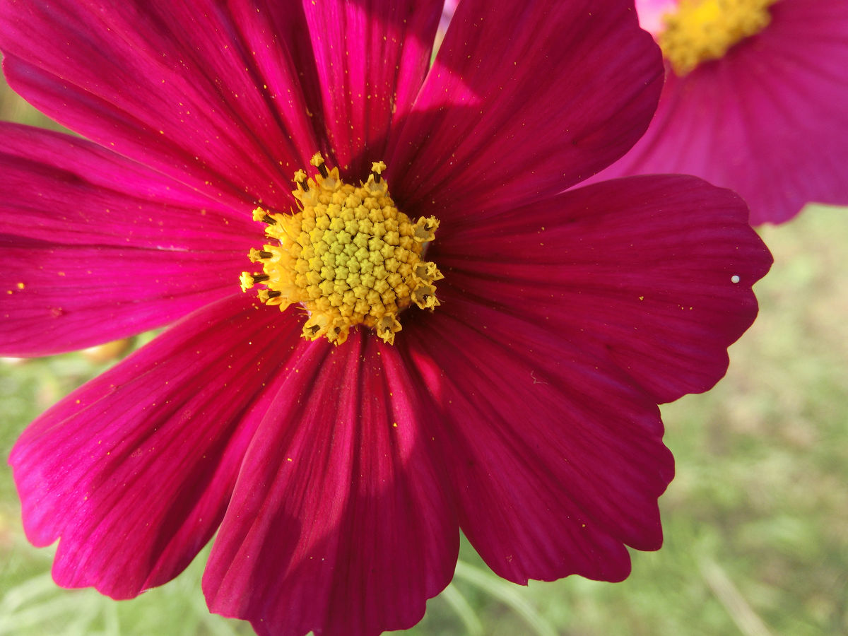 f:id:mishinon:20211211202140j:plain