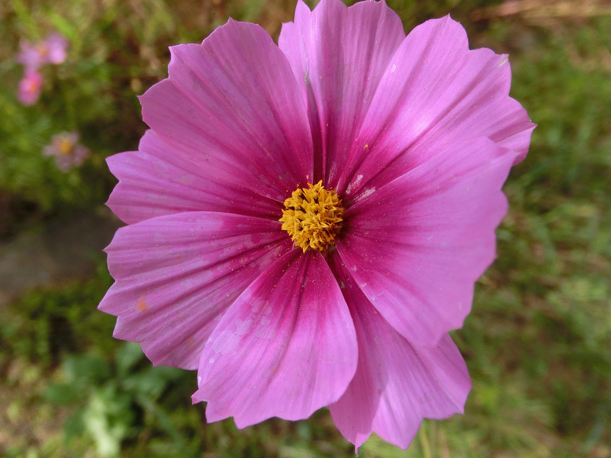 f:id:mishinon:20211211202419j:plain