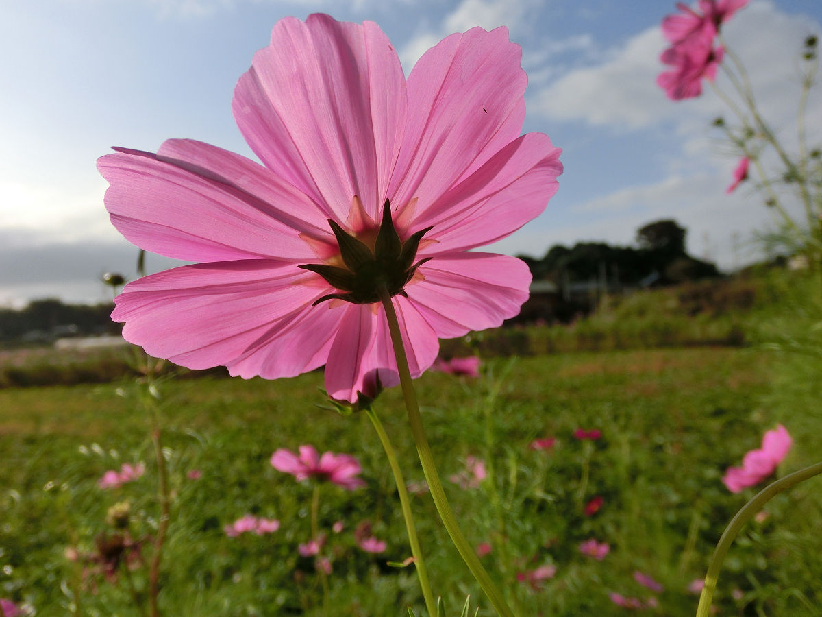 f:id:mishinon:20211211202559j:plain