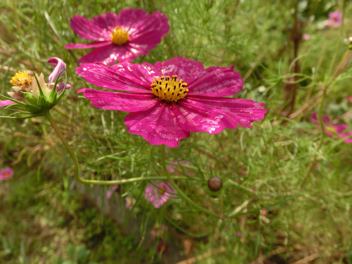 f:id:mishinon:20211211202617j:plain