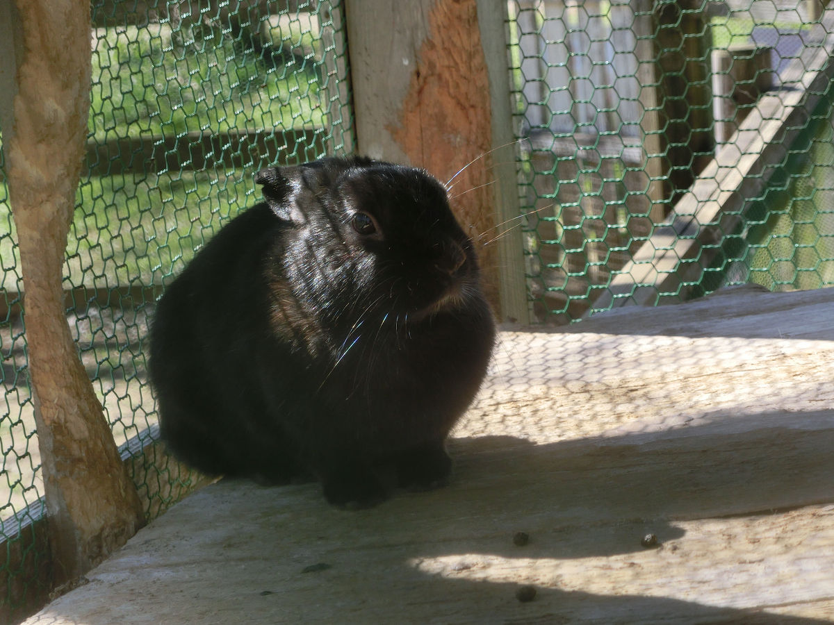 f:id:mishinon:20220227164145j:plain