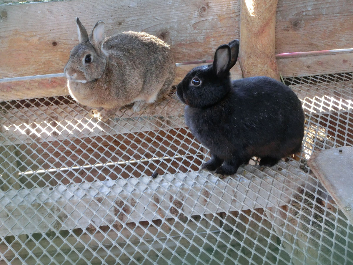 f:id:mishinon:20220227164239j:plain