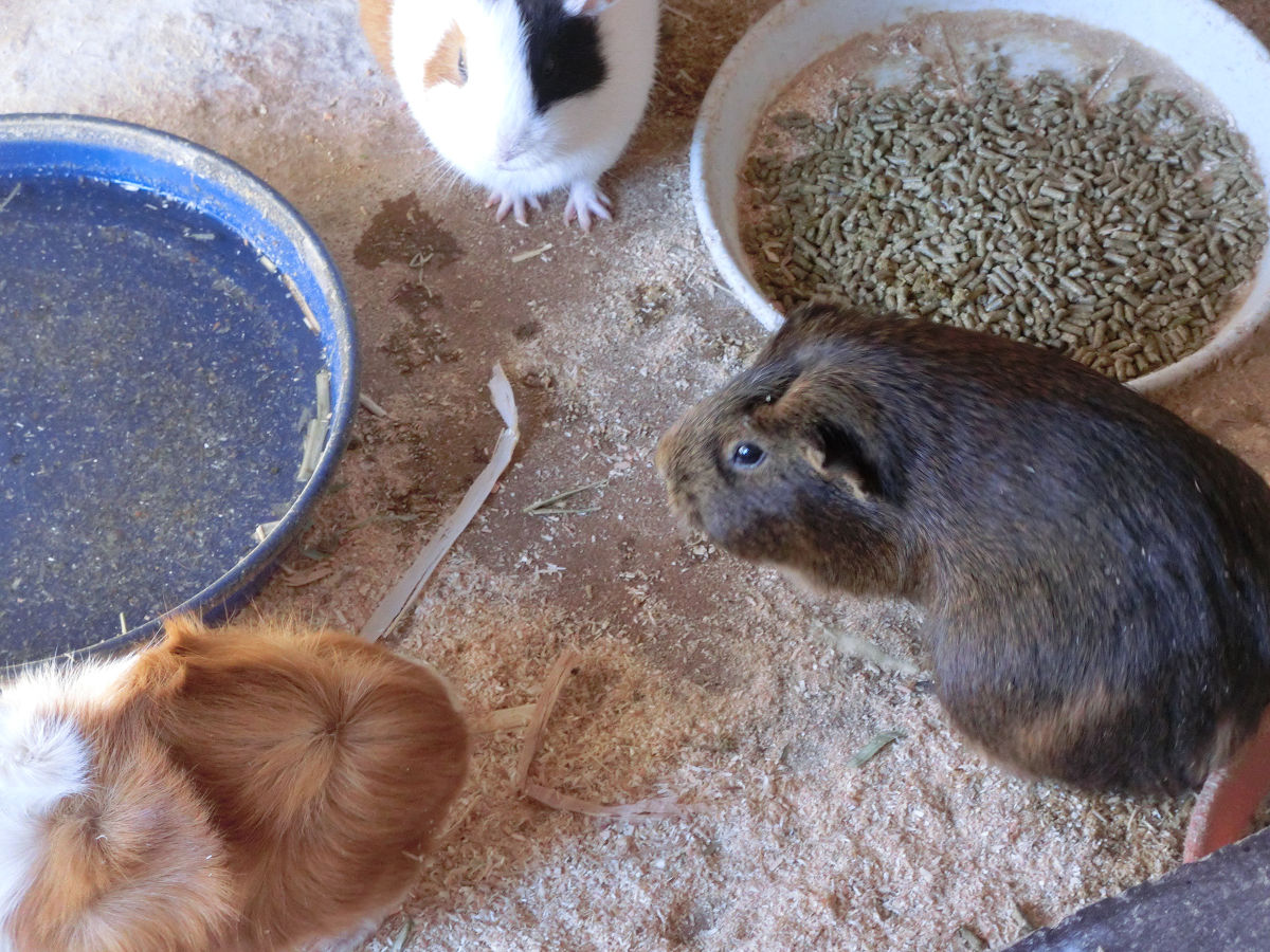 f:id:mishinon:20220227164428j:plain