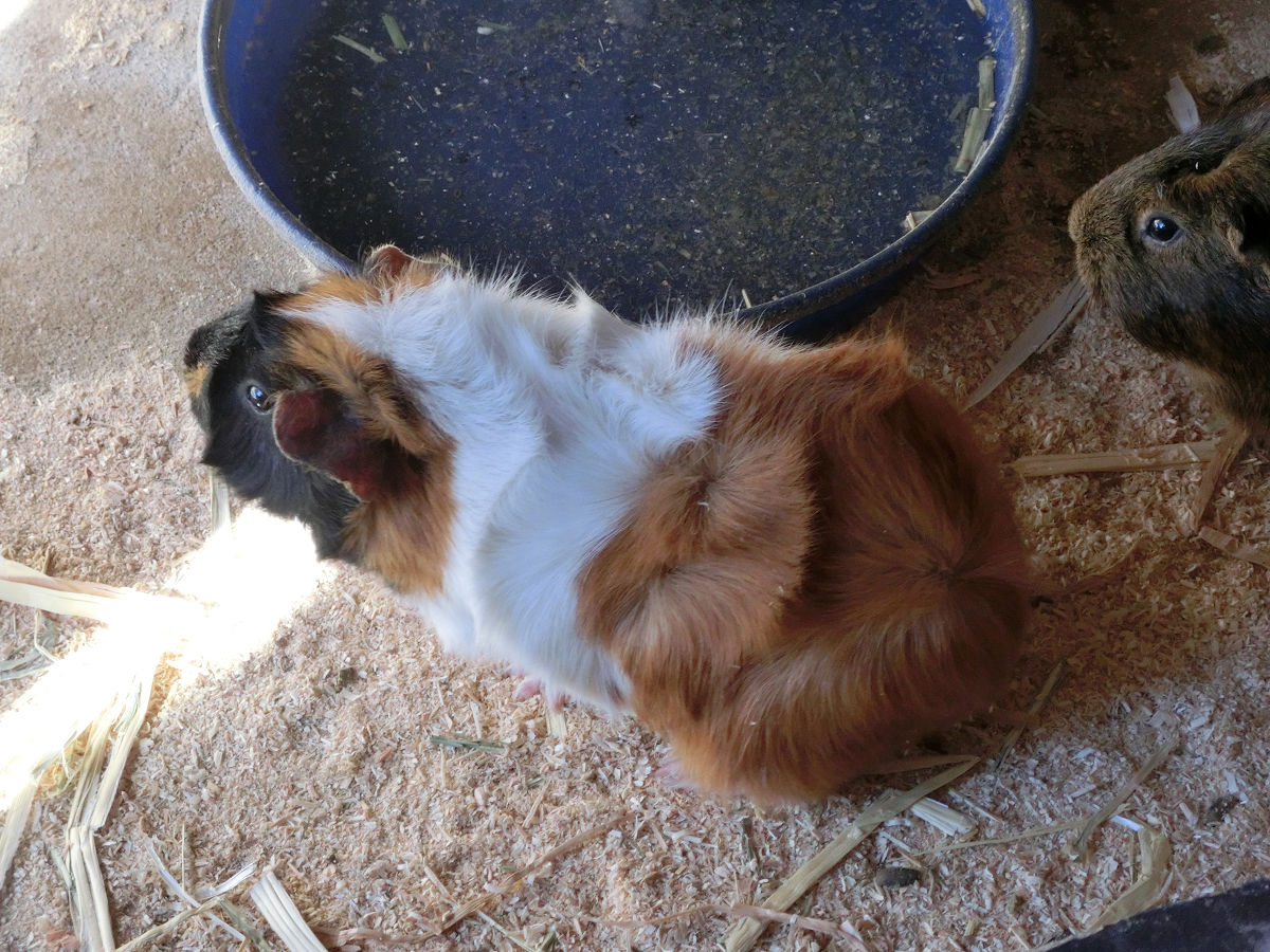 f:id:mishinon:20220227164442j:plain