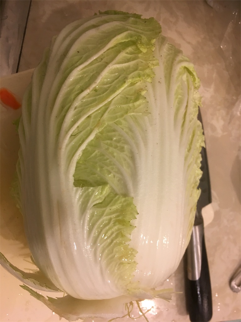 f:id:misho:20170102064440j:plain