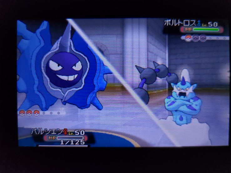 ラニュイ戦