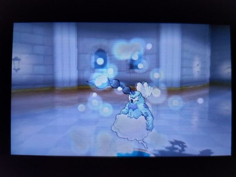ラニュイ戦勝利