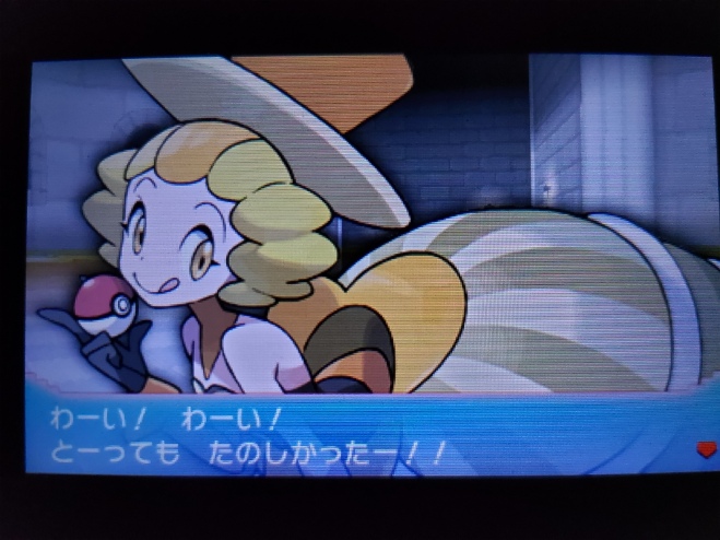 ラニュイ戦勝利2