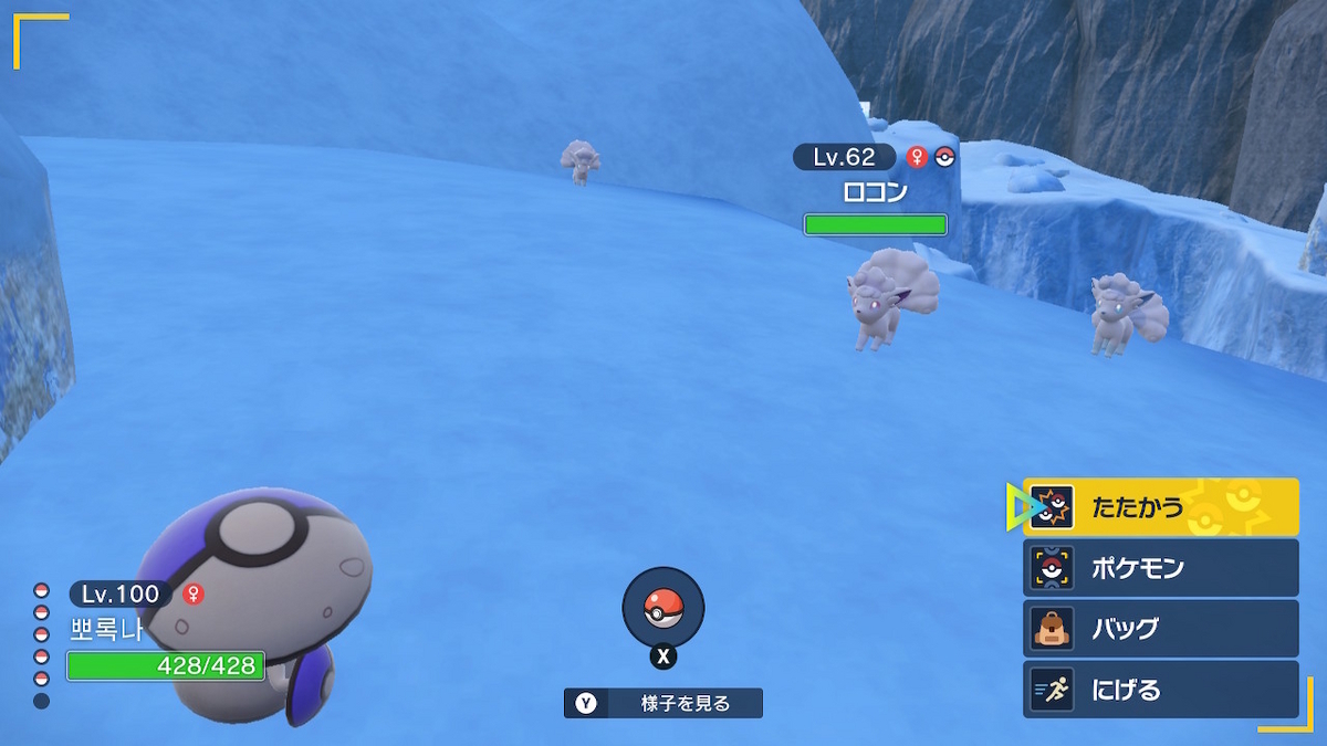 ポケモンSV】色違いの見逃し注意！色違いアローラロコンを厳選