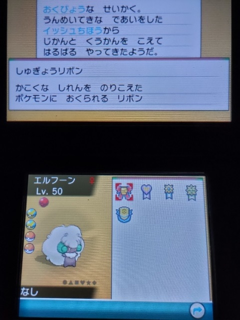 修行リボン