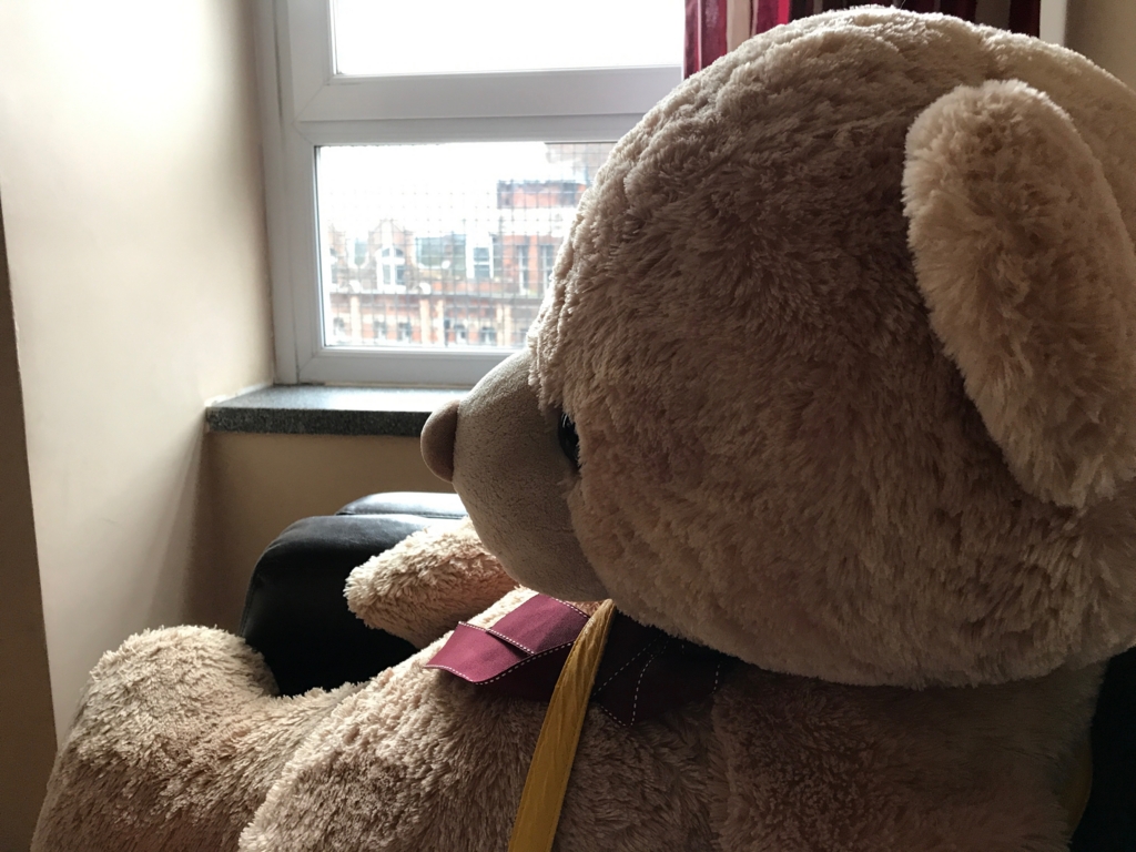f:id:misiu_teddy:20170412154909j:plain:h200 f:id:misiu_teddy:20170412154909j:plain:h200