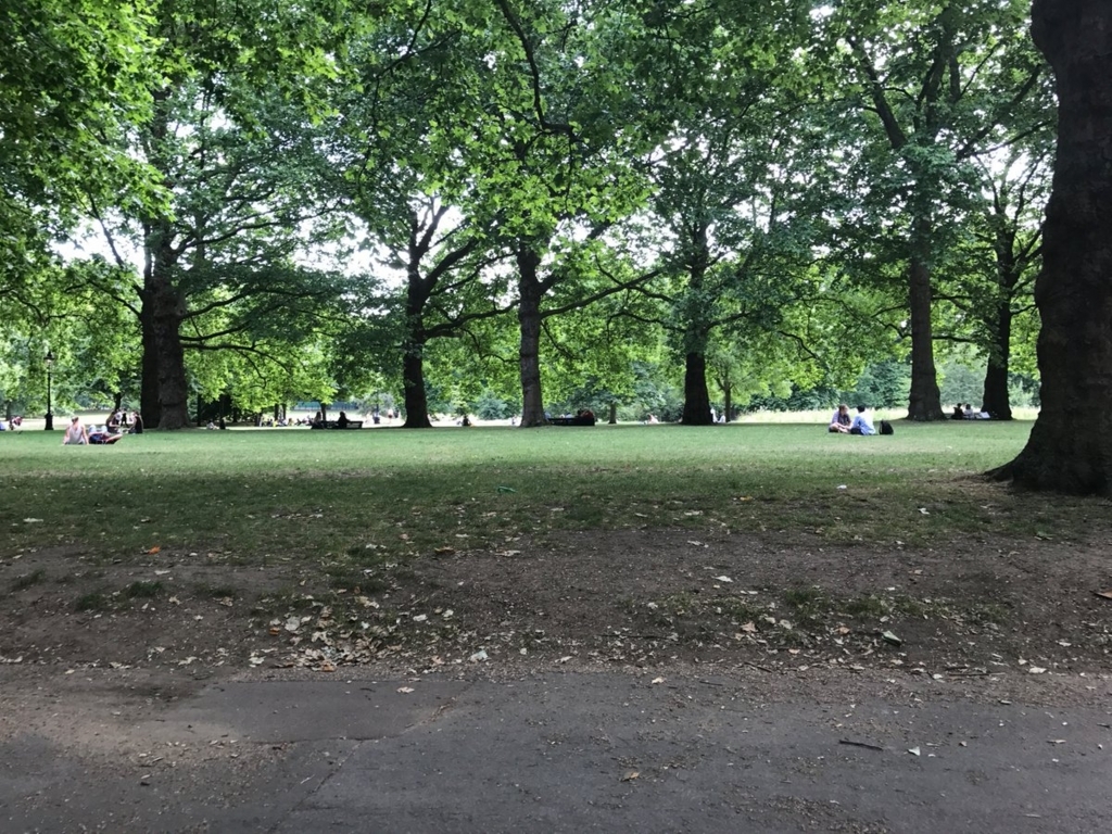 f:id:misiu_teddy:20170710061007j:plain:h200