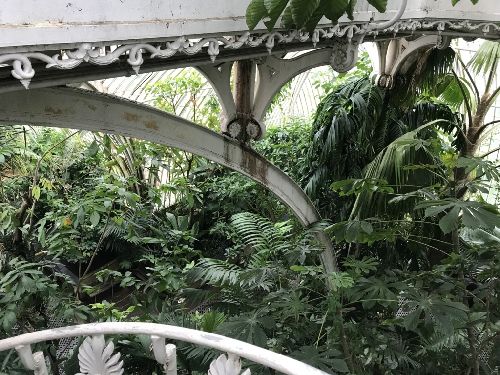 f:id:misiu_teddy:20180122183213j:plain:h200 f:id:misiu_teddy:20180122183213j:plain:h200