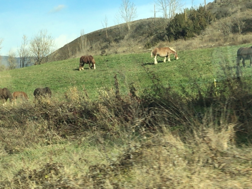 f:id:misiu_teddy:20181126072329j:plain:h200 f:id:misiu_teddy:20181126072329j:plain:h200