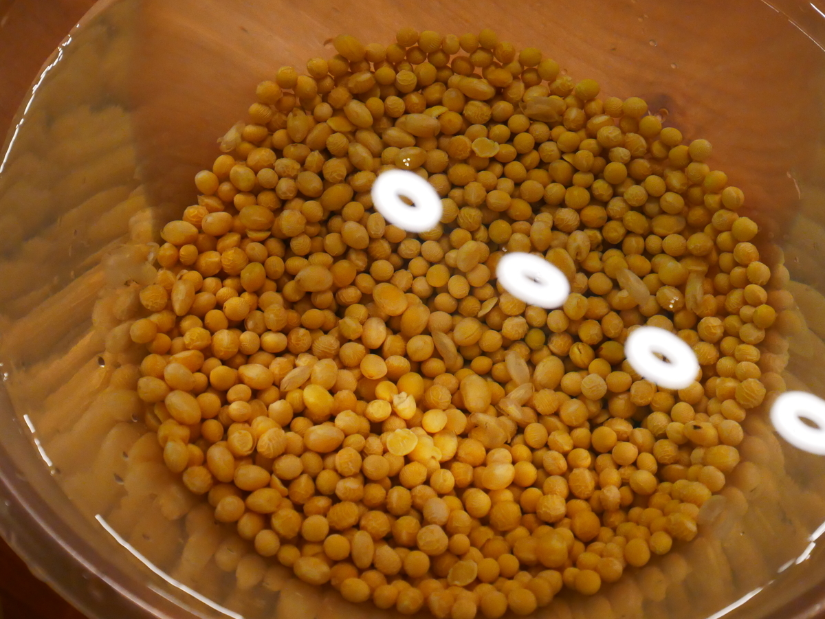 f:id:misiu_teddy:20190831042747j:plain:h200 f:id:misiu_teddy:20190831042747j:plain:h200