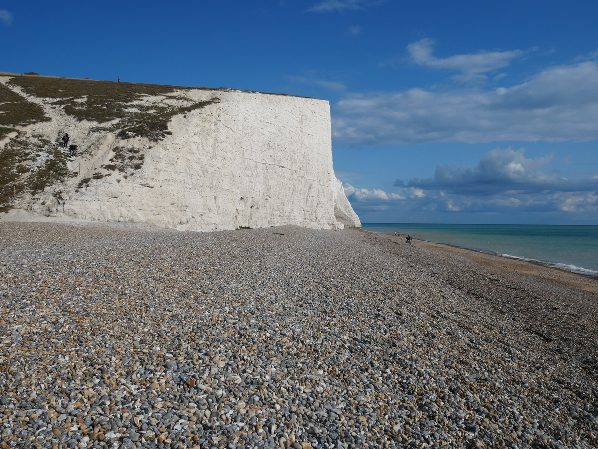 f:id:misiu_teddy:20190908174337j:plain:h200