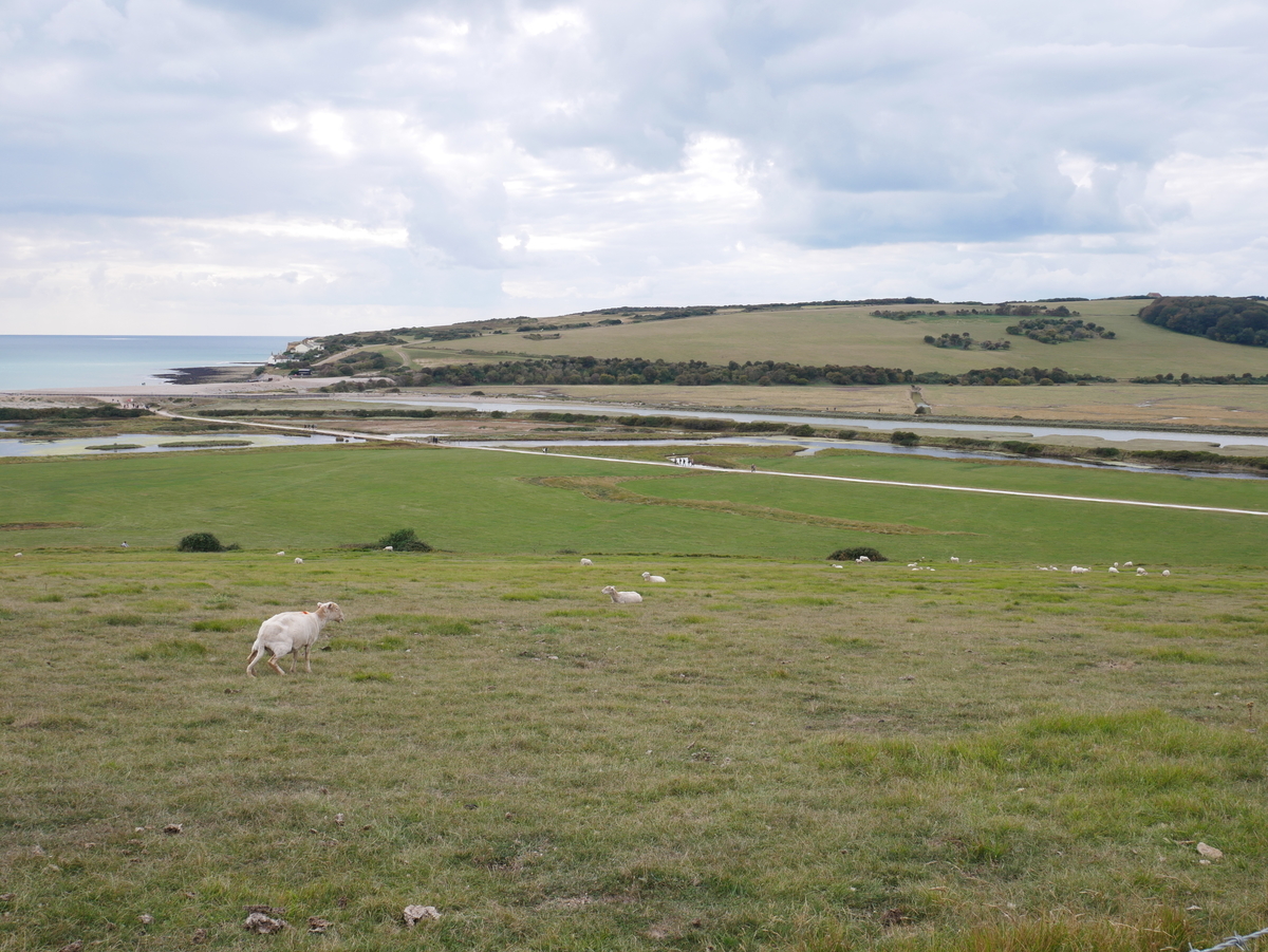 f:id:misiu_teddy:20190908181228j:plain:h200 f:id:misiu_teddy:20190908181228j:plain:h200