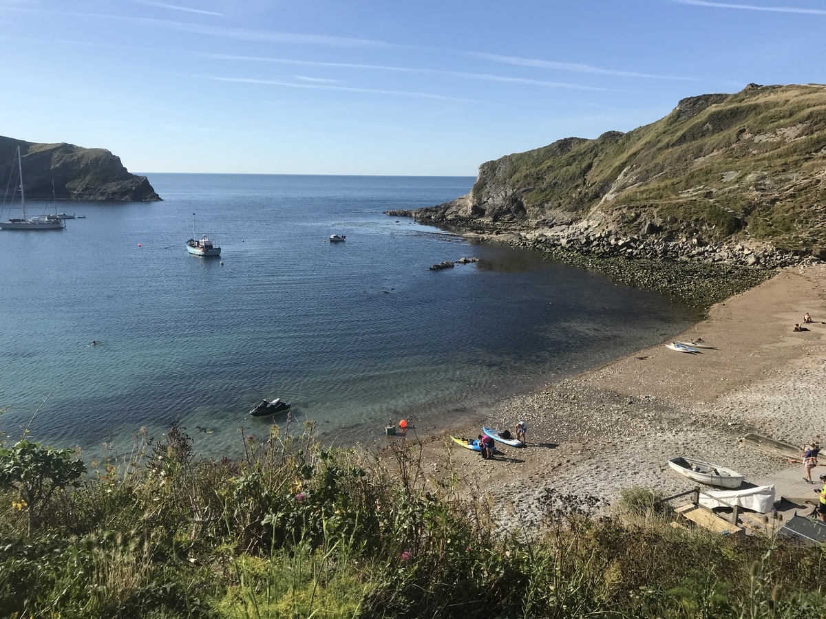 f:id:misiu_teddy:20200725030607j:plain:h200