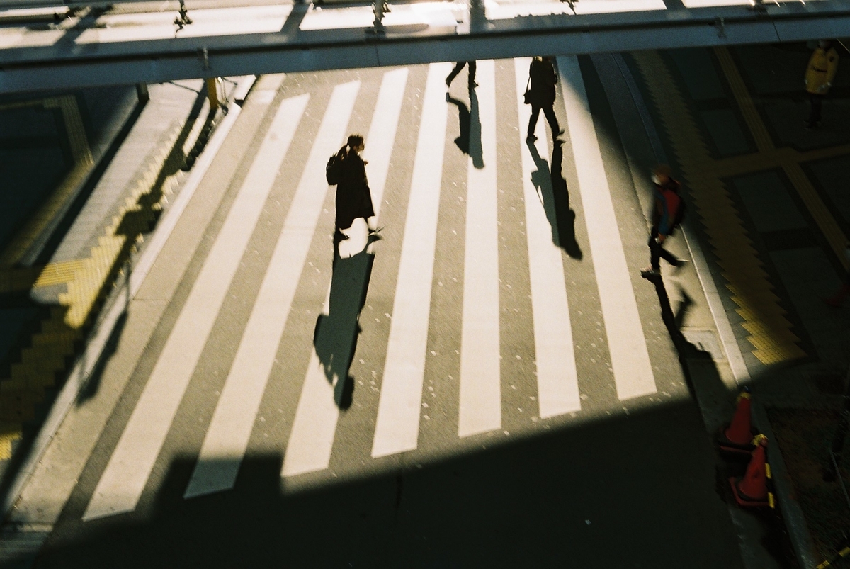 写真：夕方の横断歩道