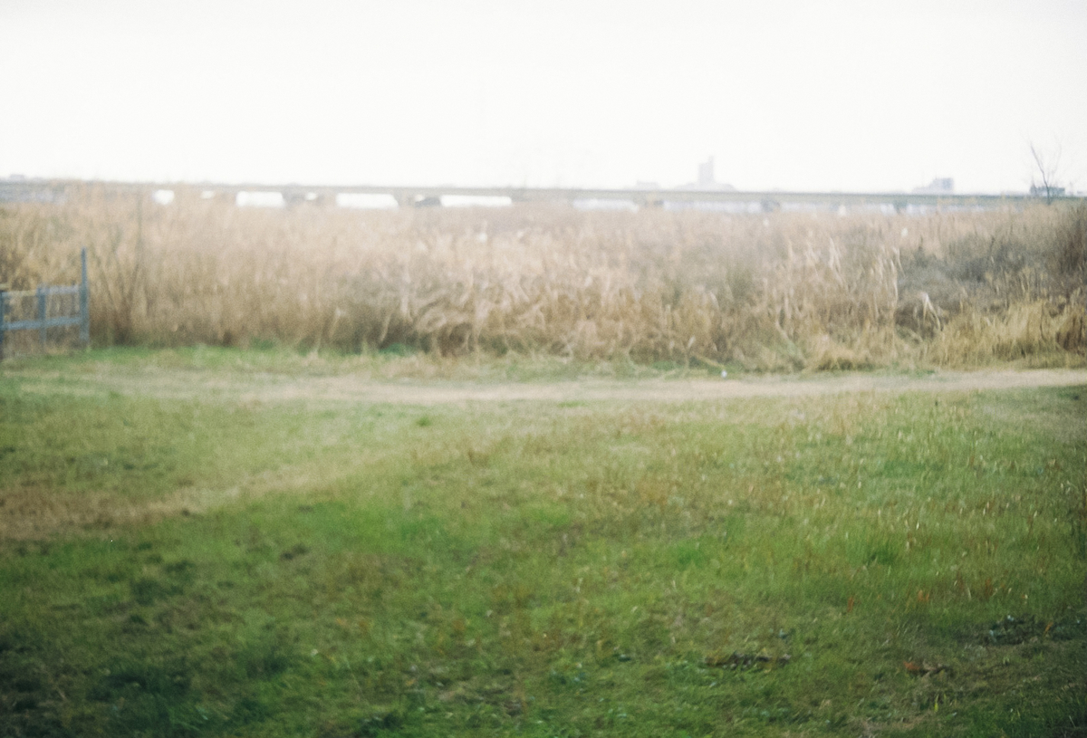 Lomography Color Negative 100