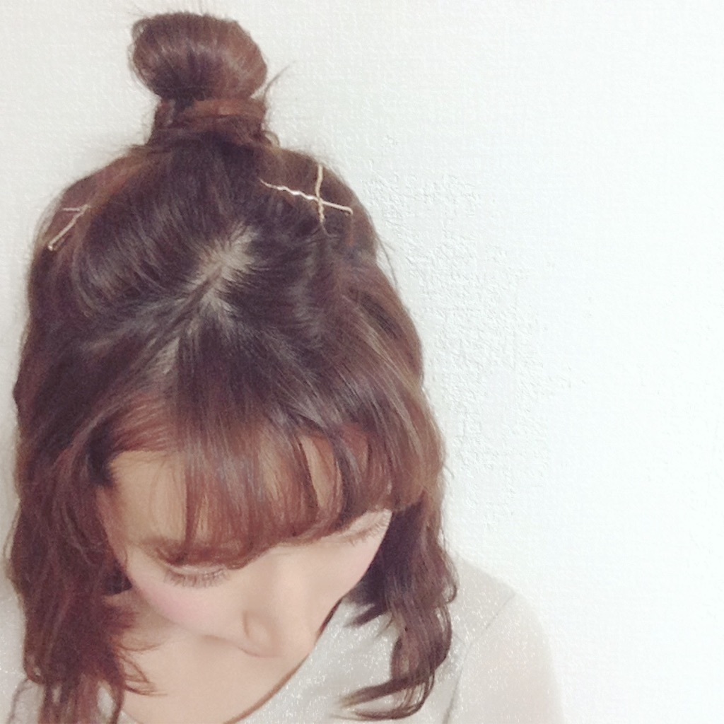 f:id:mismiura:20161228230928j:image f:id:mismiura:20161228230928j:image
