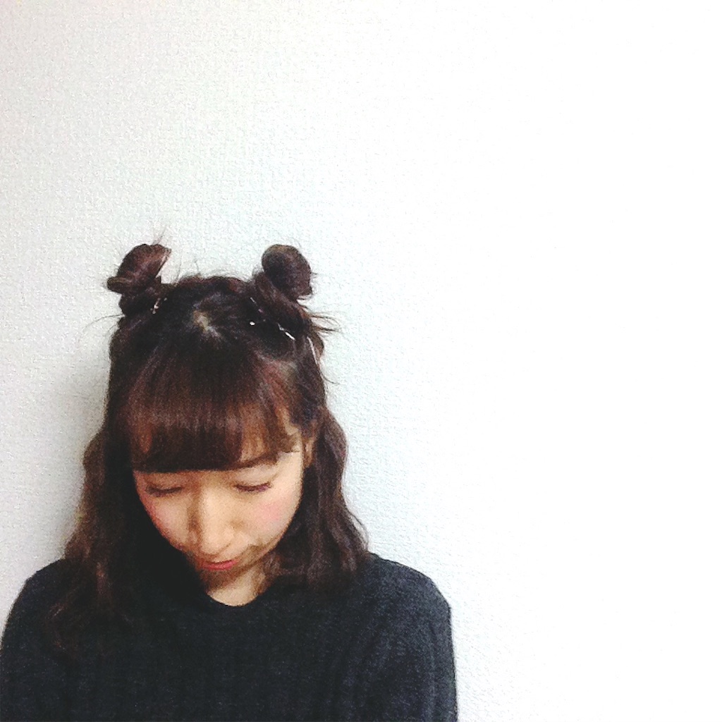f:id:mismiura:20161228231722j:image f:id:mismiura:20161228231722j:image