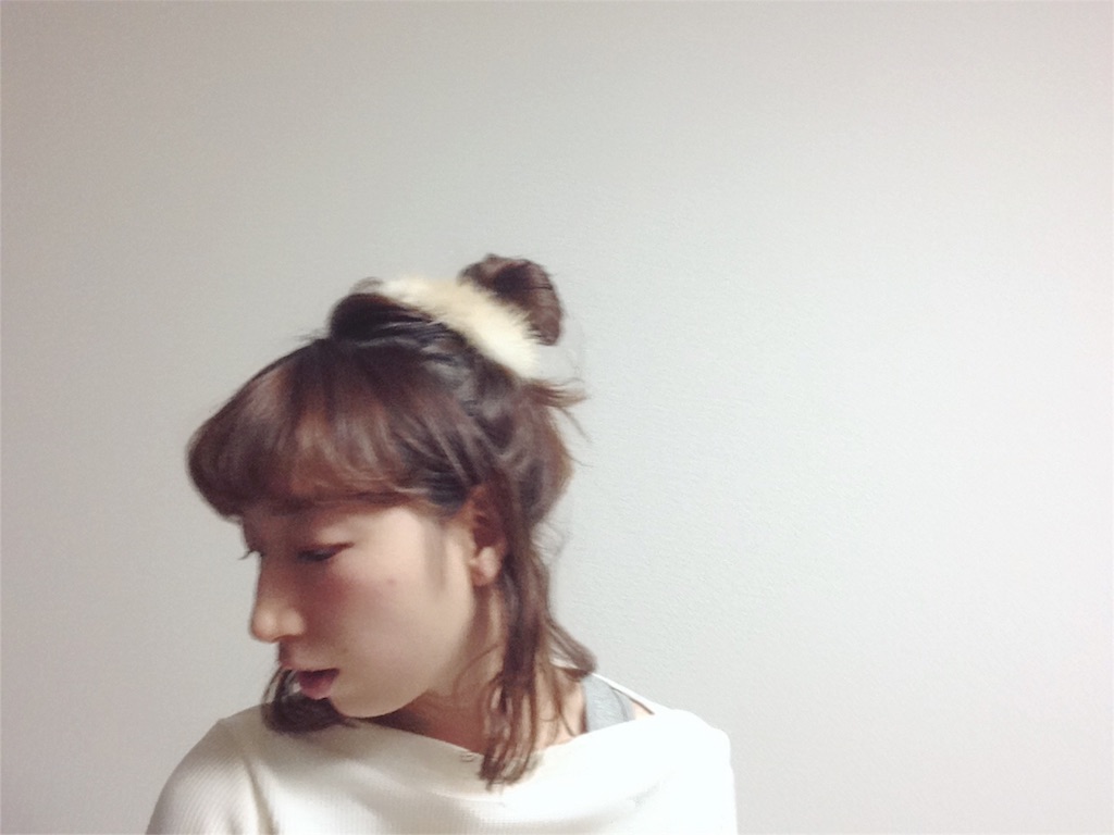 f:id:mismiura:20161229000411j:image f:id:mismiura:20161229000411j:image