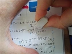 消しゴムを使ってほしい 学習障害の子をもつ母の日記