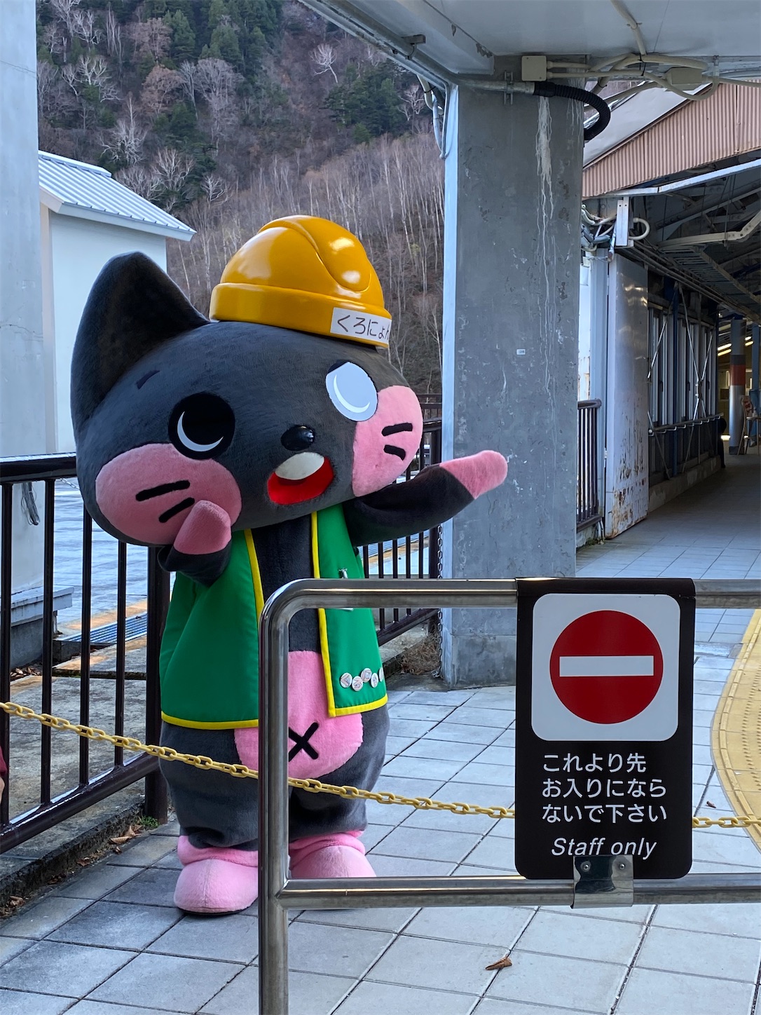 f:id:miso-maru:20221118165215j:image f:id:miso-maru:20221118165215j:image