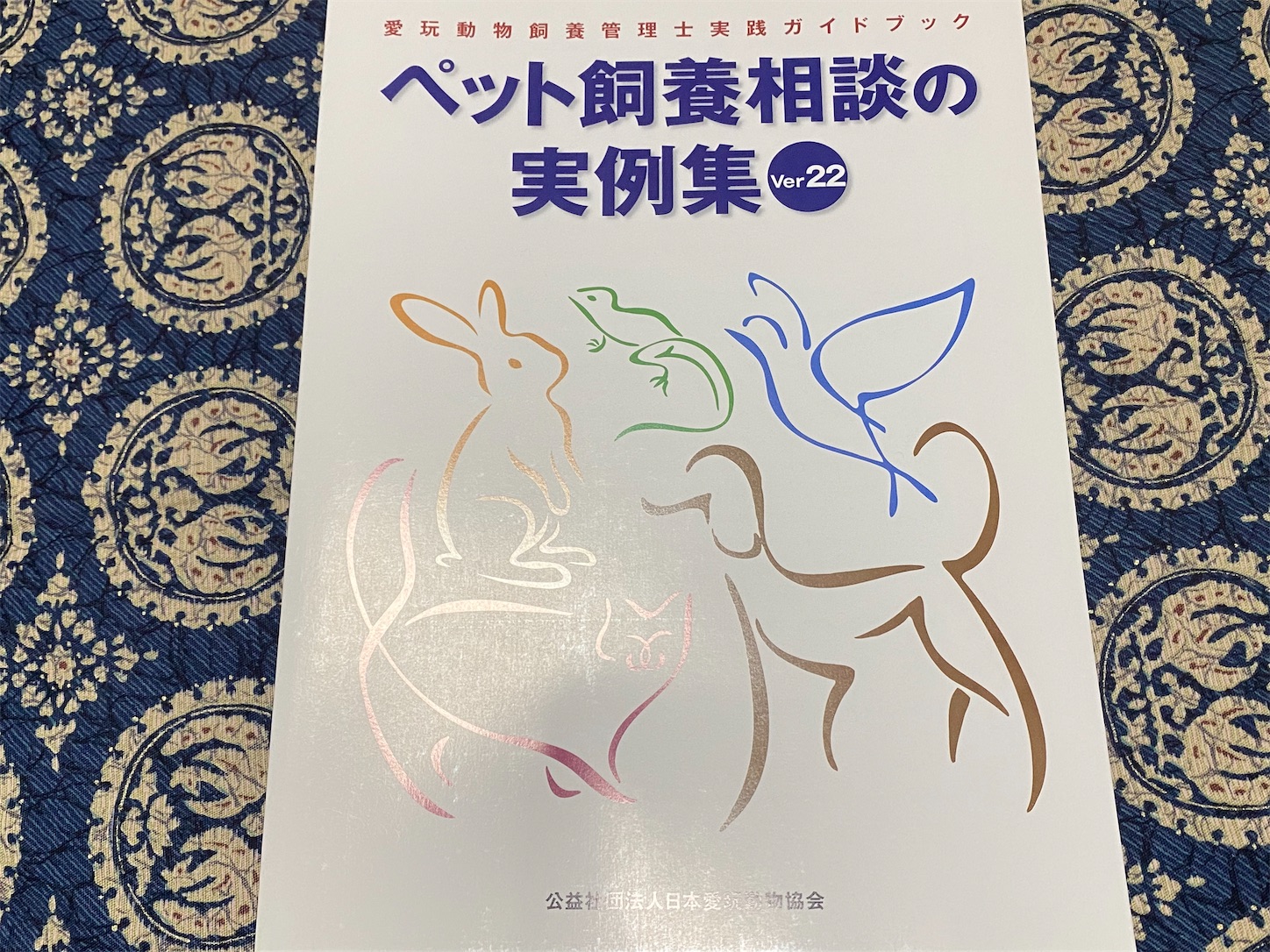 f:id:miso-maru:20230208150227j:image