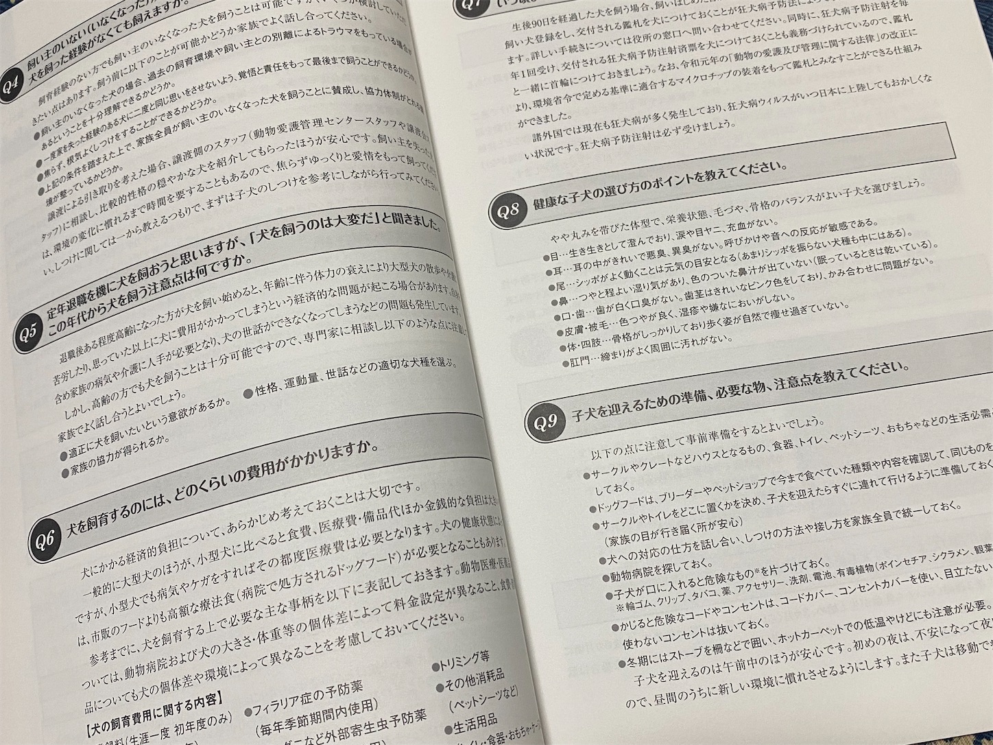 f:id:miso-maru:20230208150231j:image