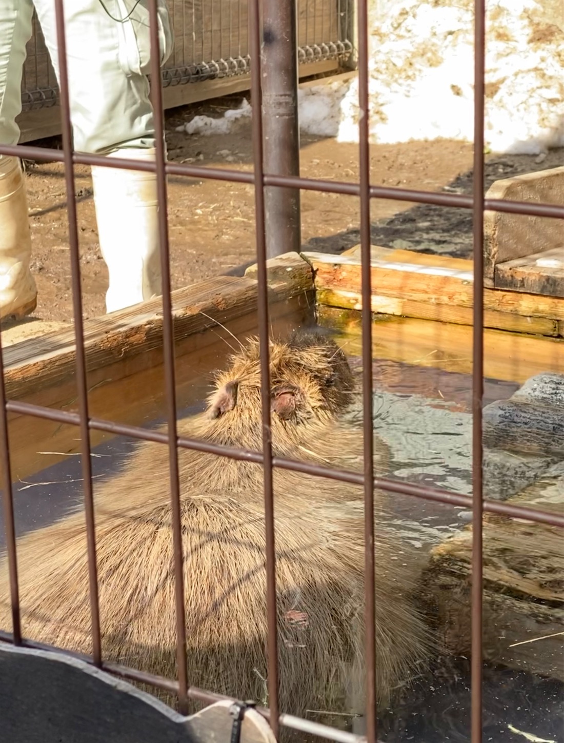 f:id:miso-maru:20230215152912j:image f:id:miso-maru:20230215152912j:image