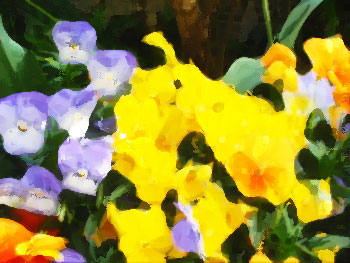 f:id:miso2480:20080715222800j:image:w180 f:id:miso2480:20080715222800j:image:w180