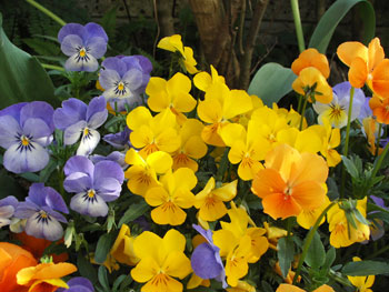 f:id:miso2480:20080715222803j:image:w180 f:id:miso2480:20080715222803j:image:w180