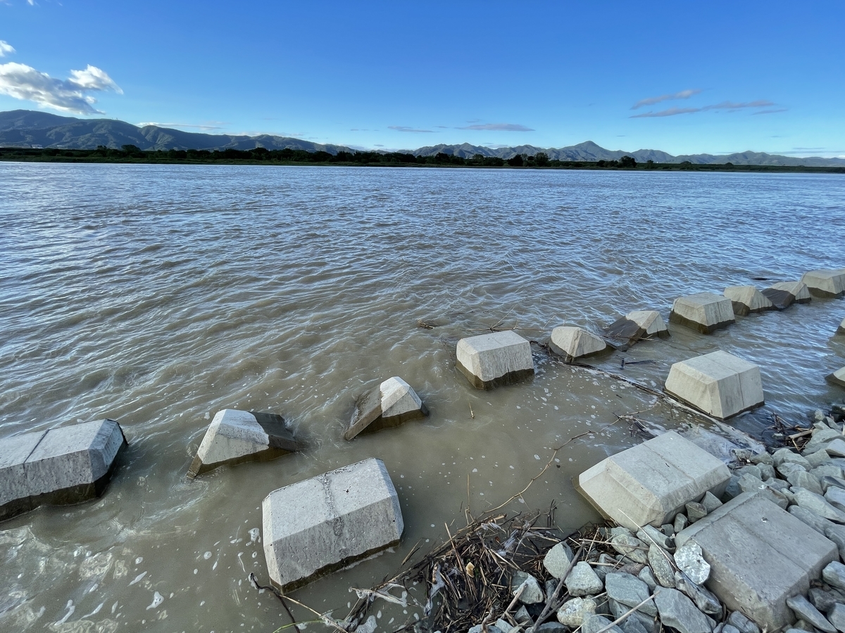 阿波釣軍 Blog