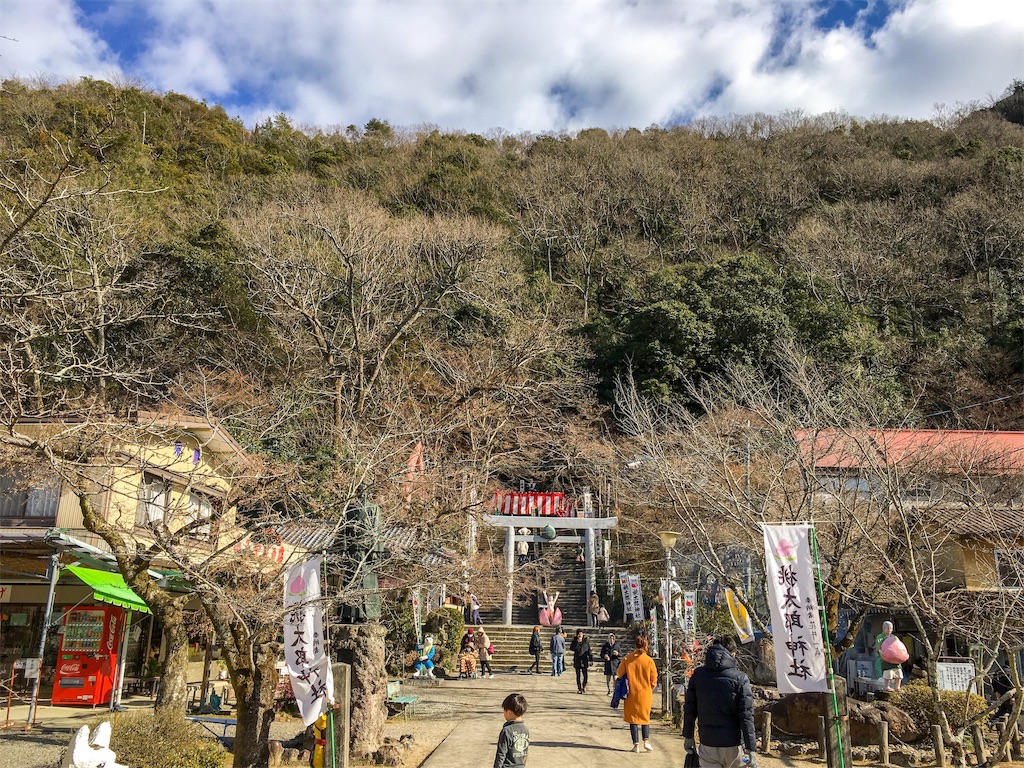 f:id:misojicamp:20190131224147j:image f:id:misojicamp:20190131224147j:image