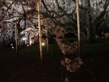 f:id:misokkasu:20120407195247j:image:w360