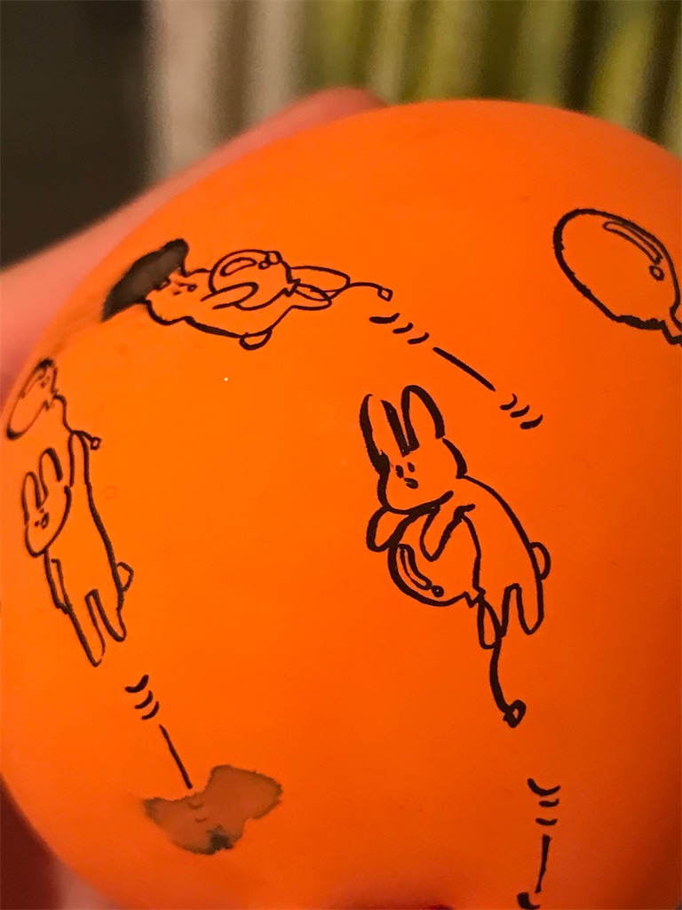 f:id:misonidaikon:20221217012953j:image