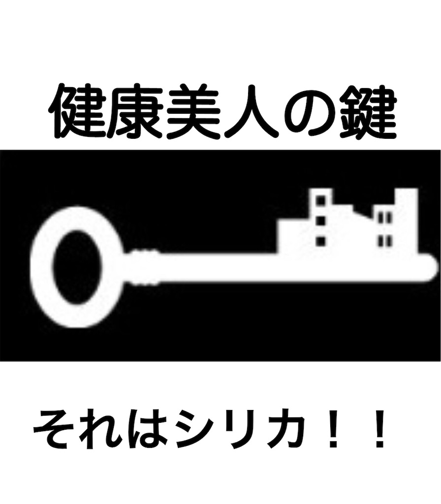 f:id:misonoo9:20210216180632j:image f:id:misonoo9:20210216180632j:image
