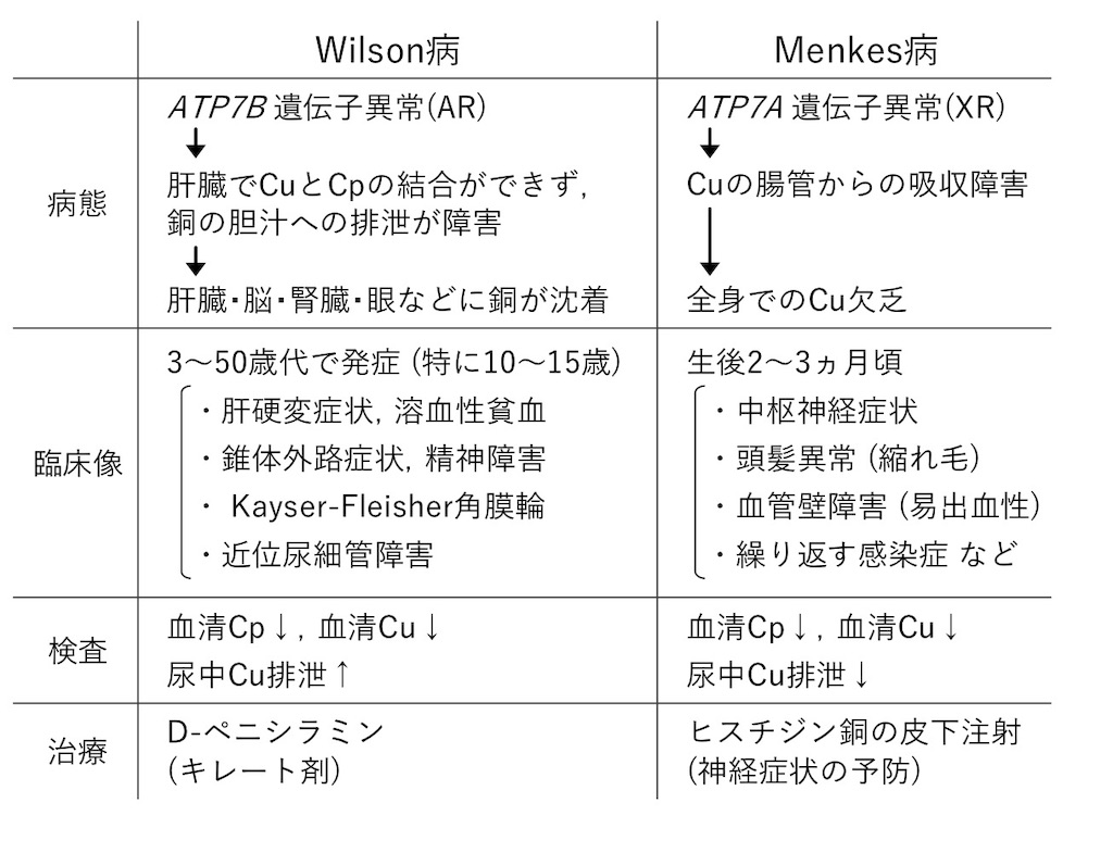 f:id:misoramenn:20190904121554j:image f:id:misoramenn:20190904121554j:image