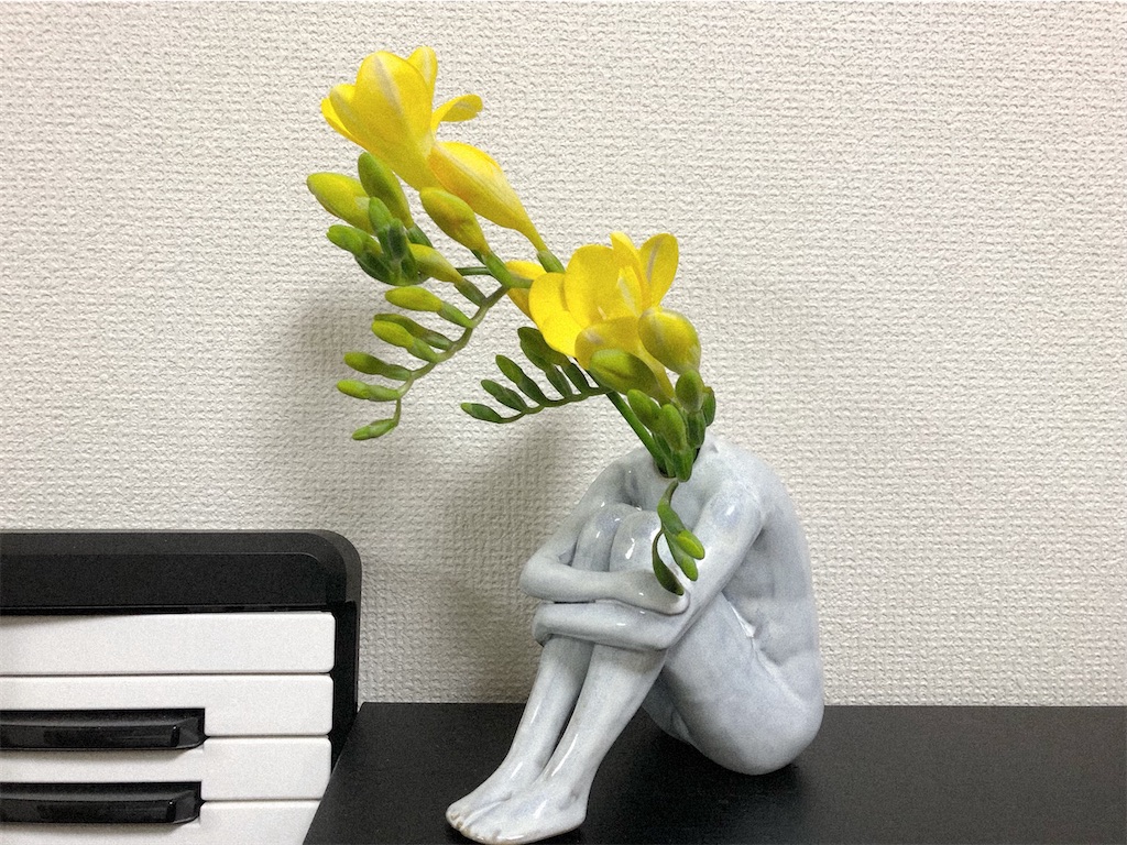 f:id:misorarara:20240406201218j:image f:id:misorarara:20240406201218j:image