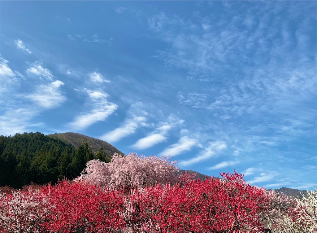 f:id:misorarara:20260422035904j:image f:id:misorarara:20260422035904j:image