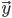 { \vec{y}}