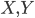 {X,Y}