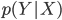{p(Y|X)}